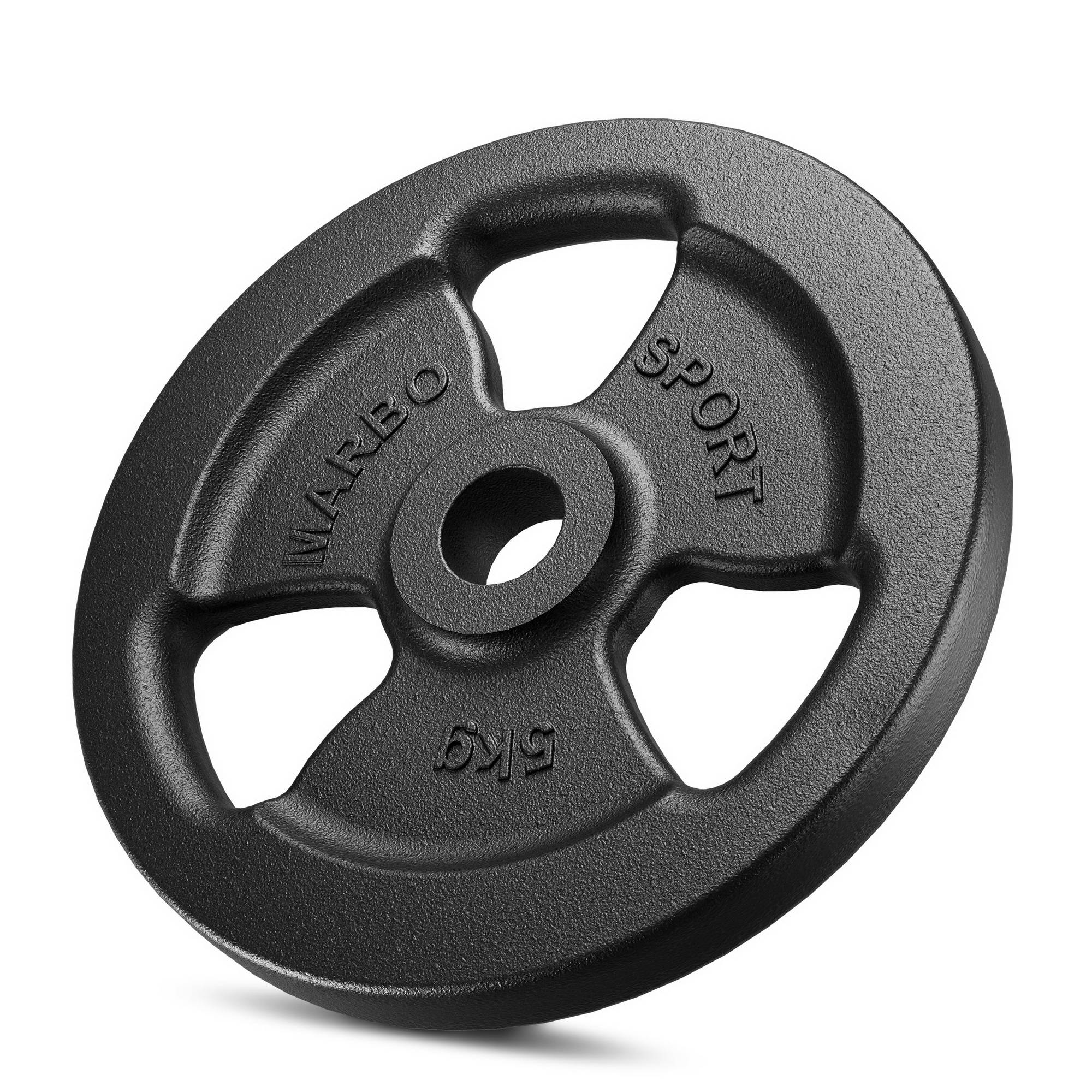 LCP Sports 10 kg Hantelscheiben Set 2 x 10 kg Gusseisen Gewichte  30/31 mm Bohrung