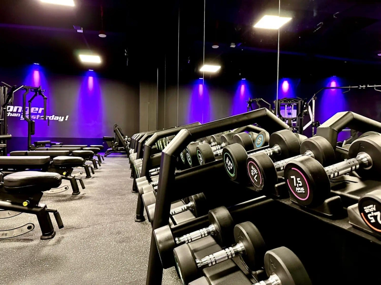 Kurzhantelständer (15 Paar) UR-S003-3 - UpForm