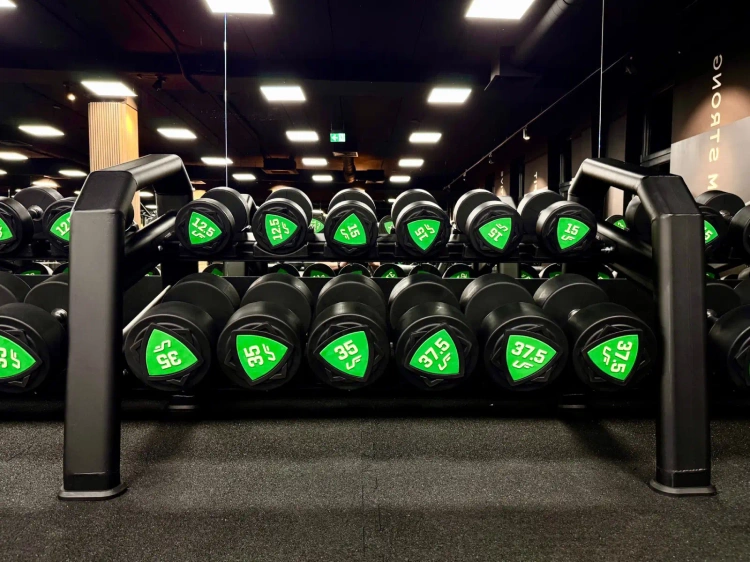 Kurzhantelständer (5 Paar) UR-S003-1 - UpForm