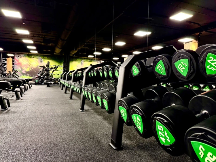 Kurzhantelständer (5 Paar) UR-S003-1 - UpForm