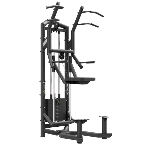 Dip & Pull-Up Assist UF-009 - UpForm