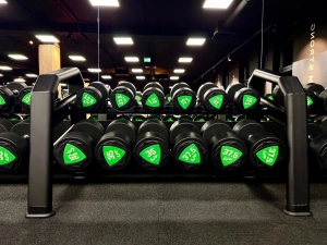 Kurzhantelständer (10 Paar) UR-S003-2 - UpForm